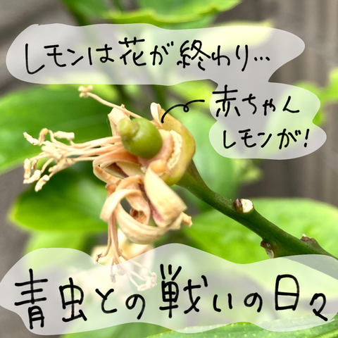 無題2793