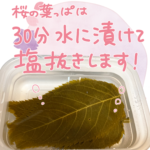 無題2588