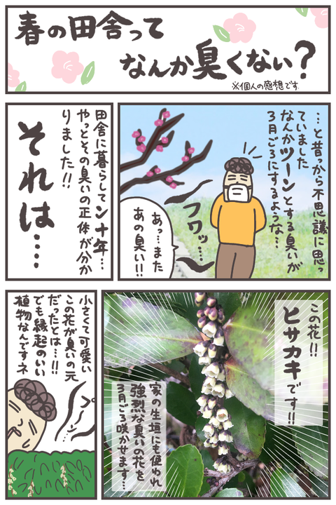 inaka