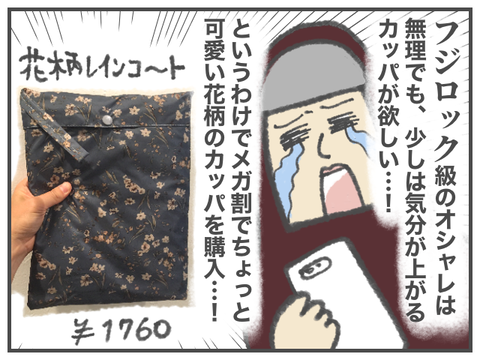 フジロックに行けそうなカッパが欲しい : ババア、育児をする Powered 