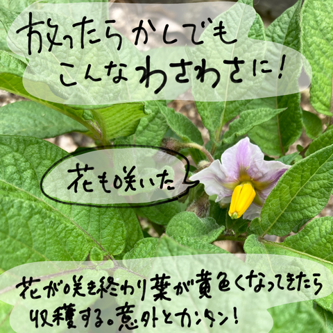 無題2780