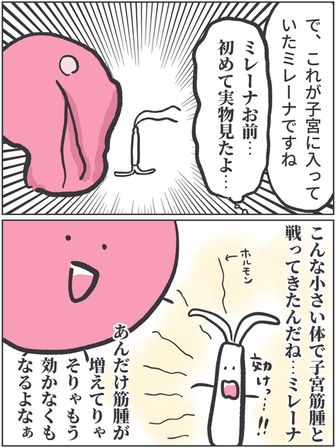 無題3681