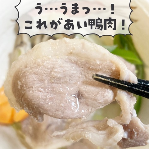 無題4225