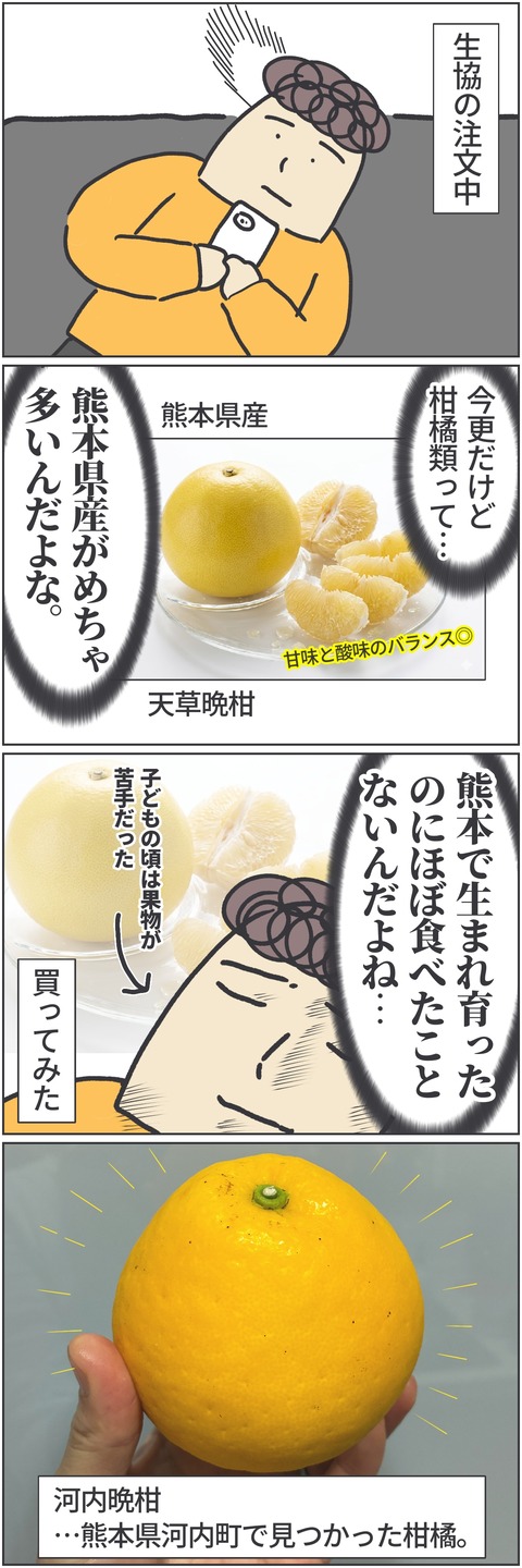 無題4596
