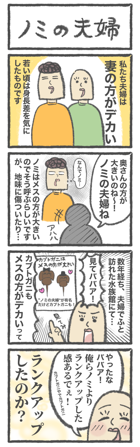 無題1906