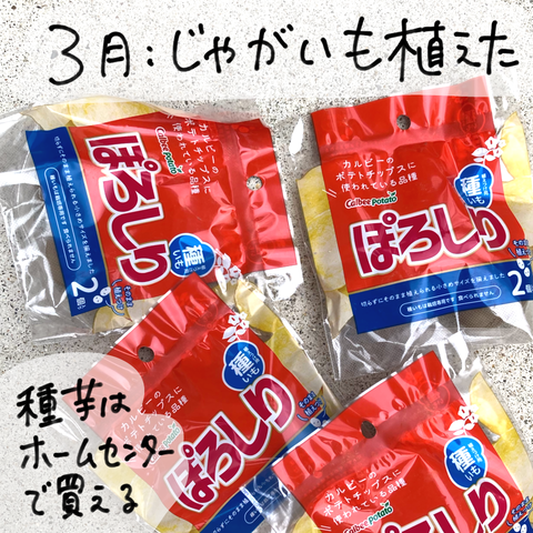 無題2781