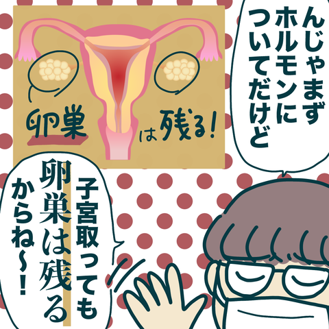 ミレーナ3年-4-3