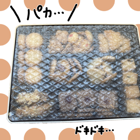 無題2548