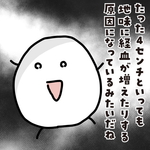 ミレーナ4年2-2