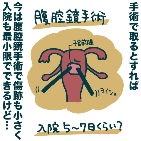 ミレーナ3年-3-4