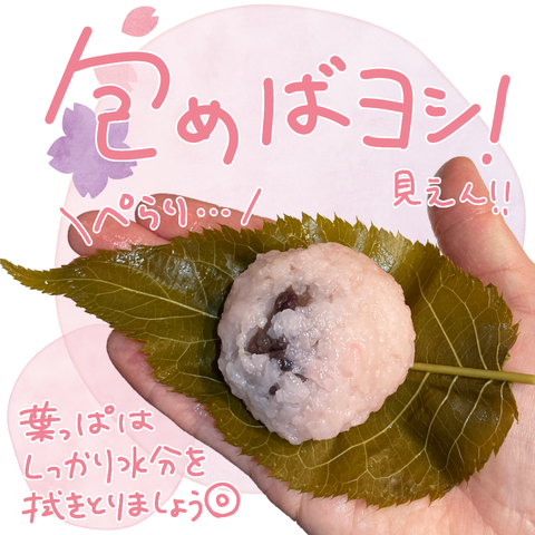 無題2589