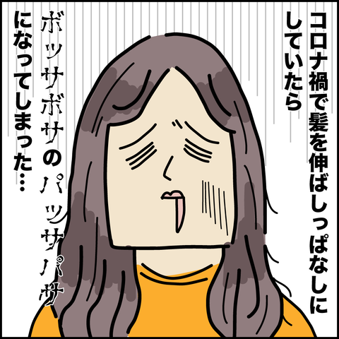 カーラーsaisin-1