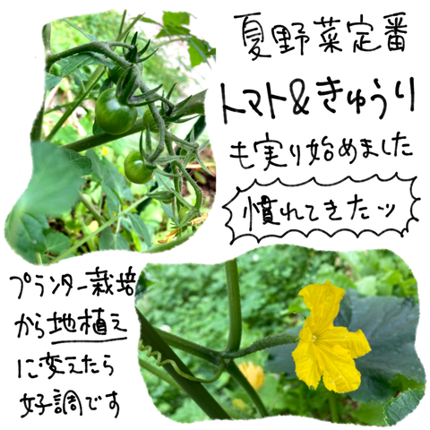 無題2777