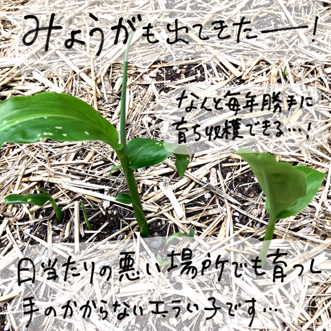 無題2779