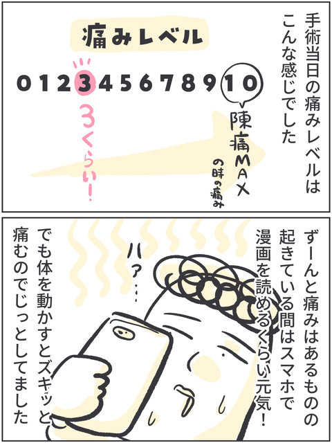 無題3646