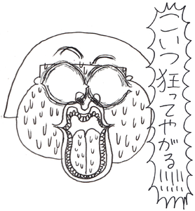 55