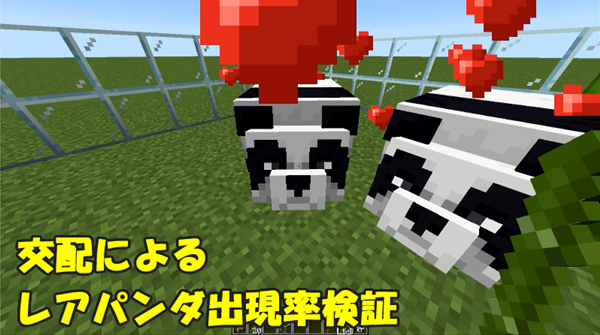 マイクラ パンダは全部で7種類 レアパンダの出現確率調査 ばばクラ ばばあのマインクラフト