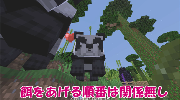 マイクラ パンダの遺伝解明 普通の顔から茶色が生まれる ばばクラ ばばあのマインクラフト