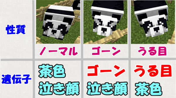 マイクラ パンダの遺伝子数調査 7種類の遺伝子数えました 意外な結果に ばばクラ ばばあのマインクラフト
