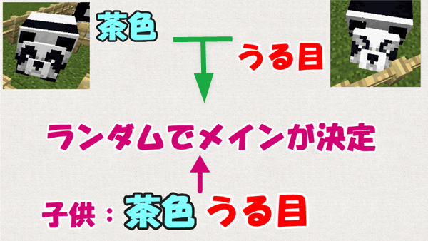 マイクラ パンダの遺伝解明 普通の顔から茶色が生まれる ばばクラ ばばあのマインクラフト
