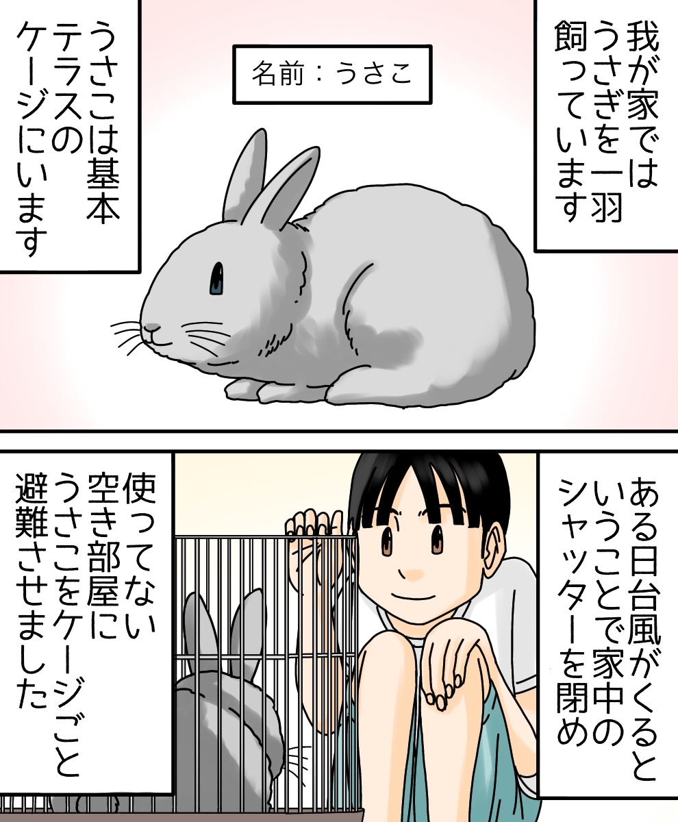 ワープするうさぎ : 世にも奇妙ななんかの話 Powered by ライブドアブログ