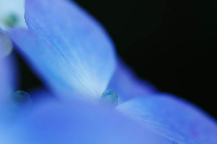 20130623_¥¢¥¸¥µ¥¤¥Ö¥ë¡¼_02
