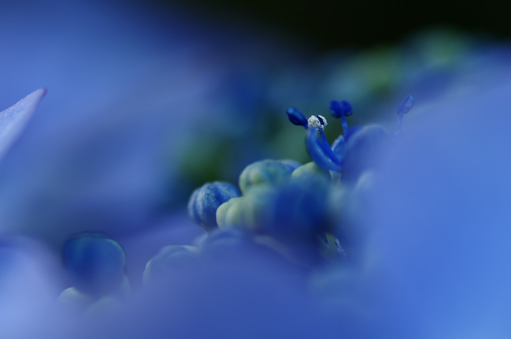 20130623_¥¢¥¸¥µ¥¤¥Ö¥ë¡¼_07