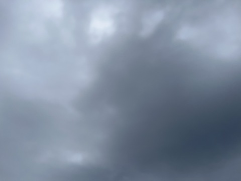 310D4DFF-1342-48A6-9C2A-FA33CE313DE4