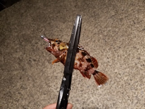 20170418_191616