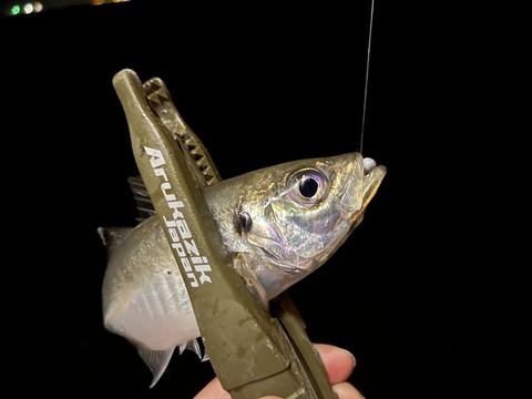 A1CE8848-1F4D-46F3-A56A-C614169F6037