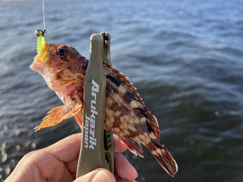 9369D5E9-171E-40D2-B9FF-2CC5DA132254