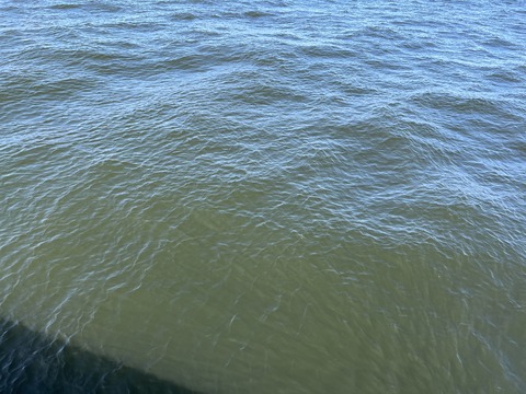 9D424336-A636-4DB7-B5B7-6ADA24195C52