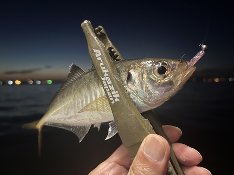 C2B07857-1A50-4D18-A0F7-EB73190C0296