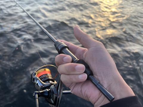 7F82642D-C803-4CFD-8B5D-69E83B9A2F0B