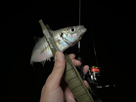 3AA7CC5E-C4E4-4B71-89CB-2180BF9618E1