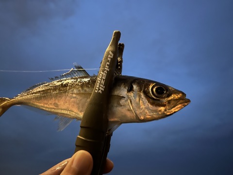 8CC021EE-3B3D-401C-AF6C-632456B6A883