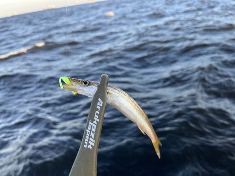 9CCABAA0-2432-4A7A-B125-0AB0C41CFE8A