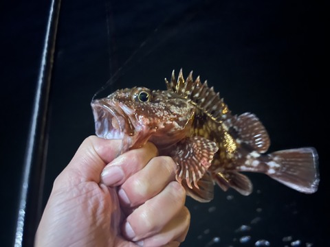 A805D8EF-EF98-4E52-A321-6808DC976B8B