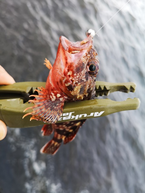 IMG_20190903_161716