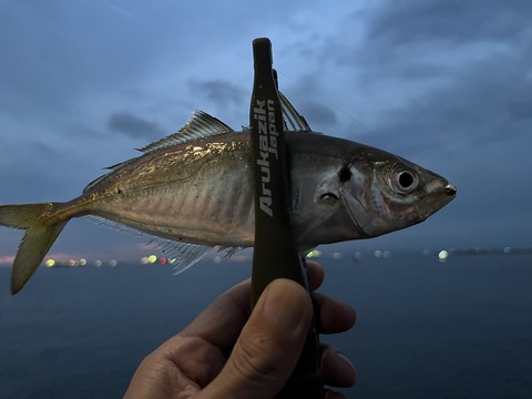 DE4C96BF-4BAD-4BEB-A842-C99D5F069E8B