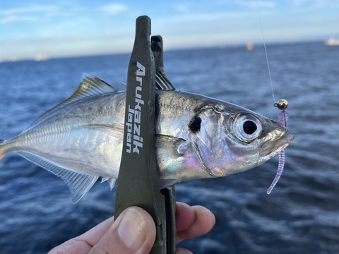 3B211369-D15B-4BB3-BEF7-A9BB11274816