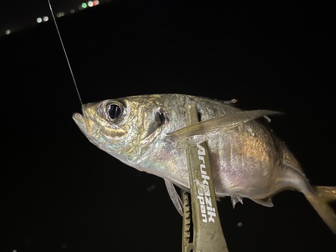 79CA8FC9-B378-4FC6-A565-C26C78CA14DA