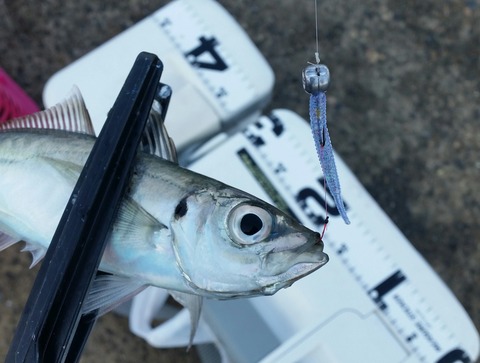 アジング　アシストフック