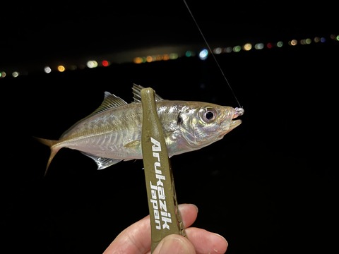 A601700E-458E-47D4-8A50-1496D0108254