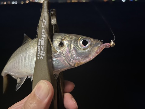 7253AF7F-C252-4F6A-99A6-50B3BD656C84