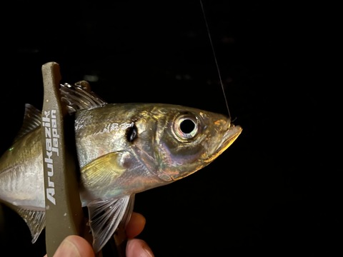 DB485486-A7C3-403C-B96E-DEAF24F23044