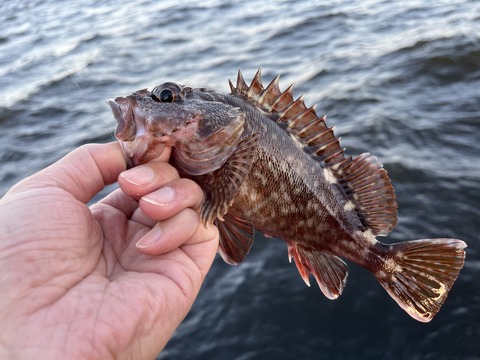 33AF00F7-D958-4293-9389-8FD4DB2E7168