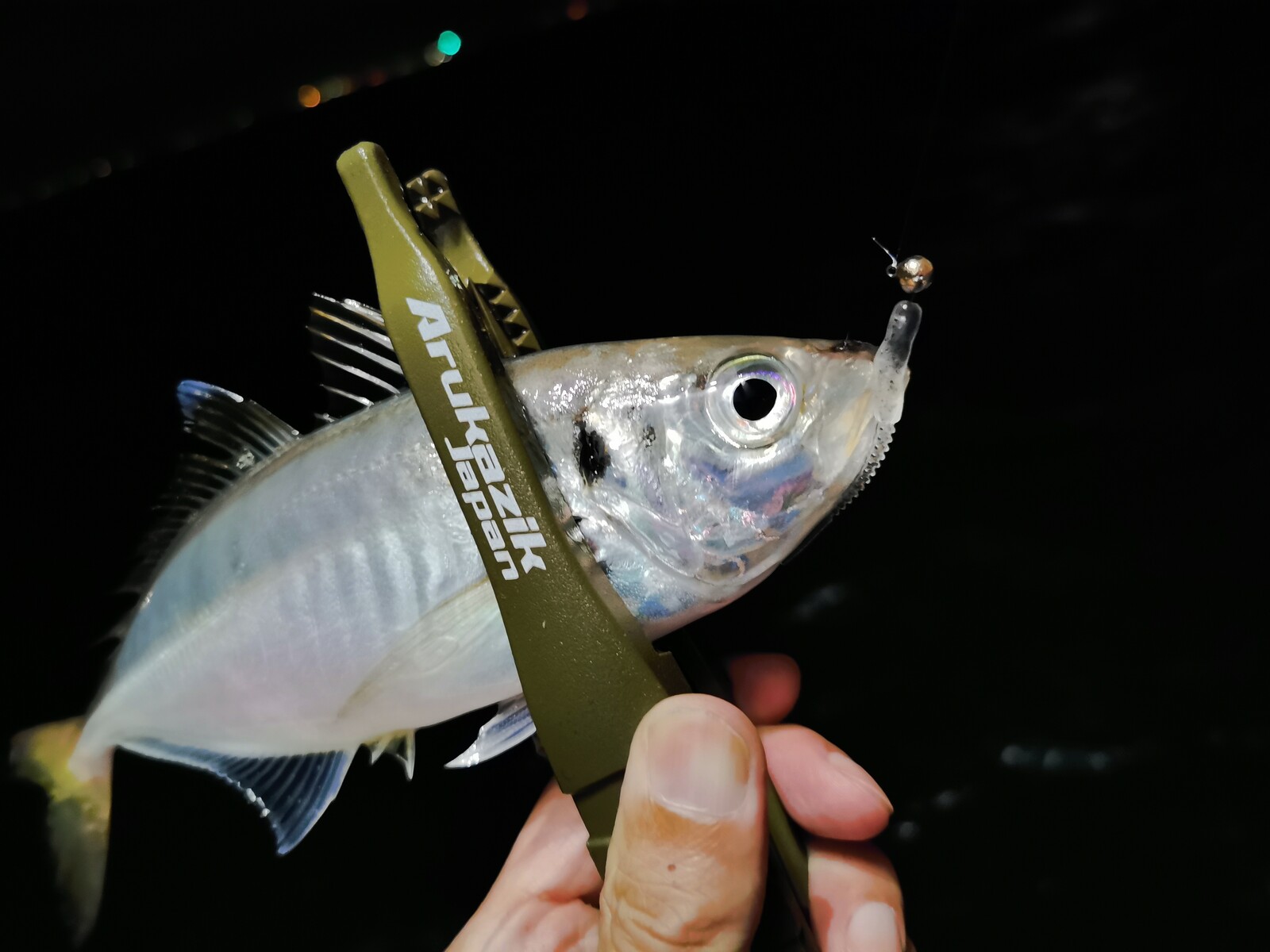 東風チャレンジ3回目 釣れなかったら引退します 某携帯ショップ店員の頭の中 東風チャレンジ3回目 釣れなかったら引退します 某携帯ショップ店員の頭の中