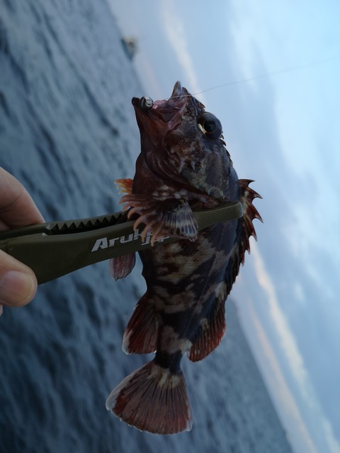 IMG_20190903_172004