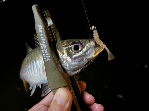 81CBDF39-AD23-43BD-8652-39BCD22C56E5